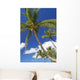 Hawaii, Maui, Kamaole Beach, Palm Trees Against Blue Sky And Clouds Wall Mural