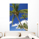 Hawaii, Maui, Kamaole Beach, Palm Trees Against Blue Sky And Clouds Wall Mural