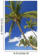 Hawaii, Maui, Kamaole Beach, Palm Trees Against Blue Sky And Clouds Wall Mural