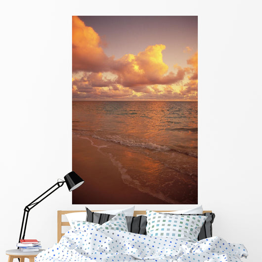 Late Afternoon Light Sreflects Pink Clouds On A Calm Ocean Wall Mural
