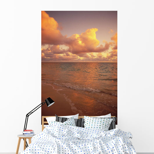 Late Afternoon Light Sreflects Pink Clouds On A Calm Ocean Wall Mural