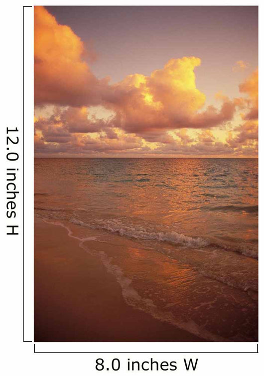 Late Afternoon Light Sreflects Pink Clouds On A Calm Ocean Wall Mural