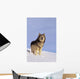 Alaska, Gray Wolf Stalking Prey In Deep Winter Snow Wall Mural