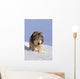Alaska, Gray Wolf Stalking Prey In Deep Winter Snow Wall Mural