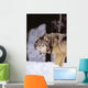 Alaska, Gray Wolf Stalking Prey In Deep Winter Snow Wall Mural