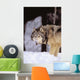 Alaska, Gray Wolf Stalking Prey In Deep Winter Snow Wall Mural