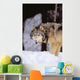 Alaska, Gray Wolf Stalking Prey In Deep Winter Snow Wall Mural