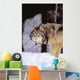 Alaska, Gray Wolf Stalking Prey In Deep Winter Snow Wall Mural