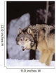 Alaska, Gray Wolf Stalking Prey In Deep Winter Snow Wall Mural