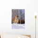Alaska, Siberian Tiger Charging Through Winter Snow Wall Mural