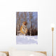 Alaska, Siberian Tiger Charging Through Winter Snow Wall Mural