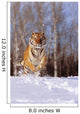Alaska, Siberian Tiger Charging Through Winter Snow Wall Mural