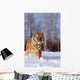 Alaska, Siberian Tiger Charging Through Winter Snow Wall Mural