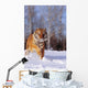 Alaska, Siberian Tiger Charging Through Winter Snow Wall Mural