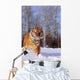 Alaska, Siberian Tiger Charging Through Winter Snow Wall Mural