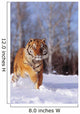 Alaska, Siberian Tiger Charging Through Winter Snow Wall Mural