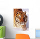 Alaska, Siberian Tiger Stalking Prey In Deep Winter Snow Wall Mural
