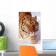 Alaska, Siberian Tiger Stalking Prey In Deep Winter Snow Wall Mural