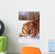 Alaska, Siberian Tiger Stalking Prey In Deep Winter Snow Wall Mural
