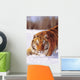 Alaska, Siberian Tiger Stalking Prey In Deep Winter Snow Wall Mural