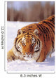Alaska, Siberian Tiger Stalking Prey In Deep Winter Snow Wall Mural