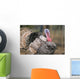 Thailand, Nong Bua Lumphu, Male Turkey With Plumage On Farm Wall Mural