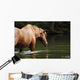 Bathing Horse Wall Mural