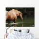 Bathing Horse Wall Mural