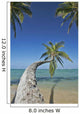 Hawaii, Oahu, Palm Trees Overhang The Ocean On A Clear Blue Day Wall Mural