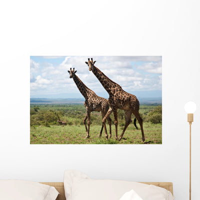 Giraffen shown on a wall