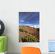 Hawaii, Maui, Hikers Inside Haleakala Crater Wall Mural