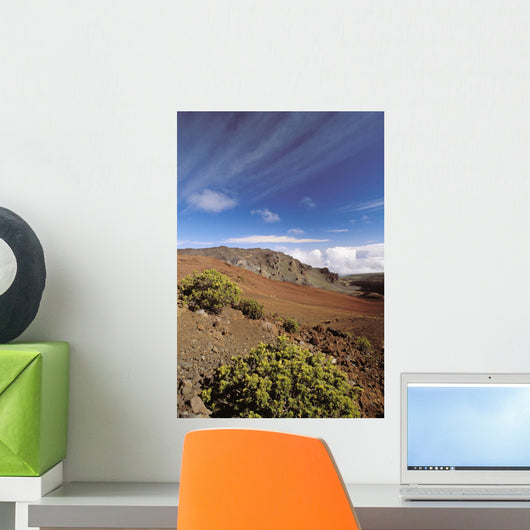 Hawaii, Maui, Hikers Inside Haleakala Crater Wall Mural