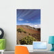Hawaii, Maui, Hikers Inside Haleakala Crater Wall Mural