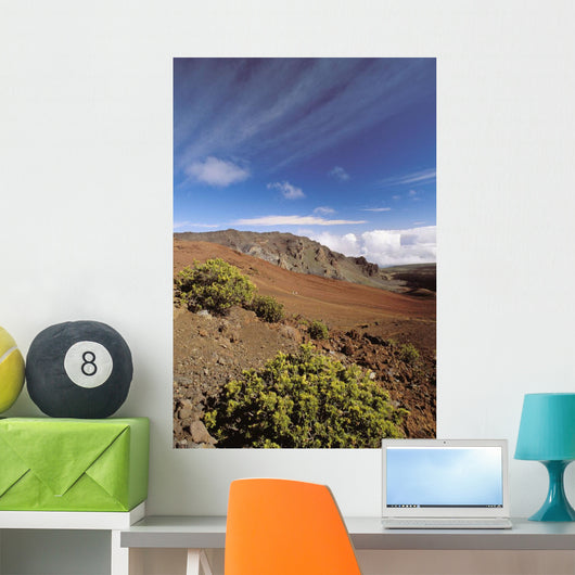 Hawaii, Maui, Hikers Inside Haleakala Crater Wall Mural