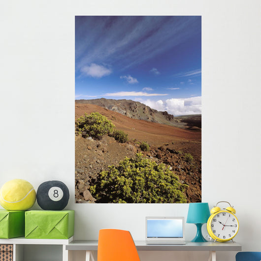 Hawaii, Maui, Hikers Inside Haleakala Crater Wall Mural