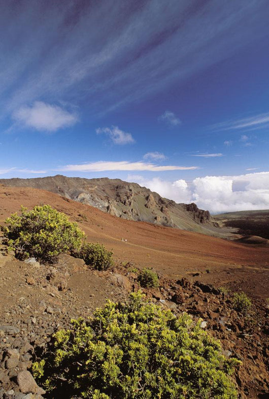 Hawaii, Maui, Hikers Inside Haleakala Crater Wall Mural