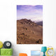 Hawaii, Maui, Western Rim Of Haleakala Crater Wall Mural