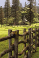 Hawaii, Lanai, Koele Lodge, A Chapel Behind A Wooden Fence Wall Mural
