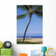 Hawaii, Lanai, Manele Bay Beach Park, Palm Tree And Woman On The Beach Wall Mural