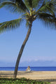 Hawaii, Lanai, Manele Bay Beach Park, Palm Tree And Woman On The Beach Wall Mural