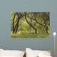 Hawaii, Lanai, Manele Bay Beach Park, Grove Of Kiawe Trees Wall Mural