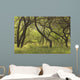 Hawaii, Lanai, Manele Bay Beach Park, Grove Of Kiawe Trees Wall Mural