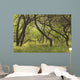 Hawaii, Lanai, Manele Bay Beach Park, Grove Of Kiawe Trees Wall Mural
