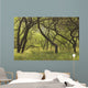 Hawaii, Lanai, Manele Bay Beach Park, Grove Of Kiawe Trees Wall Mural