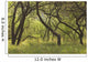 Hawaii, Lanai, Manele Bay Beach Park, Grove Of Kiawe Trees Wall Mural