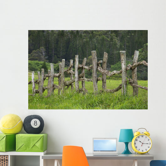 Wooden Fence Bordering Pasture As Lodge At Koele Horse Stables Wall Mural