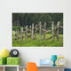 Wooden Fence Bordering Pasture As Lodge At Koele Horse Stables Wall Mural