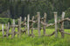 Wooden Fence Bordering Pasture As Lodge At Koele Horse Stables Wall Mural