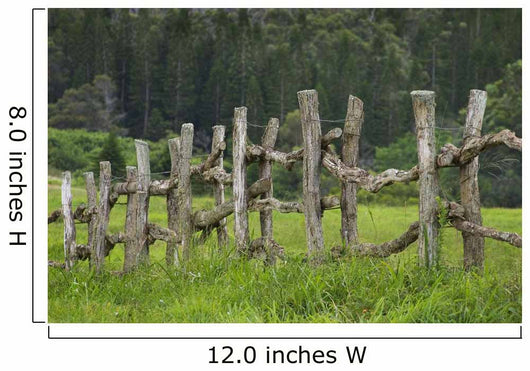 Wooden Fence Bordering Pasture As Lodge At Koele Horse Stables Wall Mural