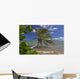 Palm Tree Overhangs The Ocean With A View Of Maui In Distance Wall Mural